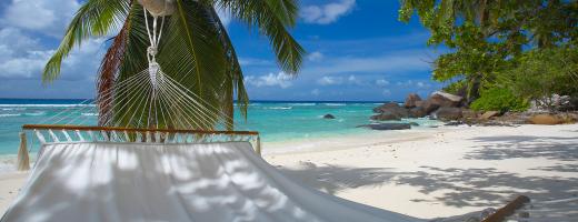 Villa de Cerf Special